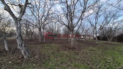 Palić | 4zida.rs