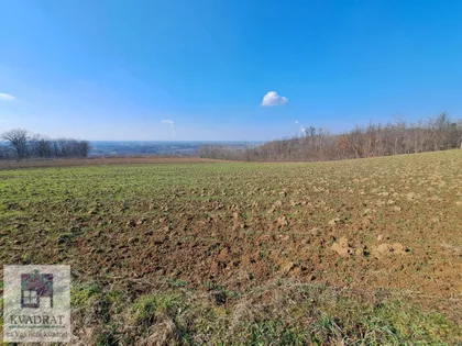 Mislođin | 4zida.rs