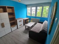 Nova Detelinara, Detelinara, Gradske lokacije, Novi Sad | 4zida.rs