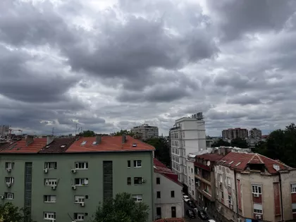 Zdravka Čelara | 4zida.rs