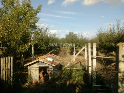 Čortanovci | 4zida.rs