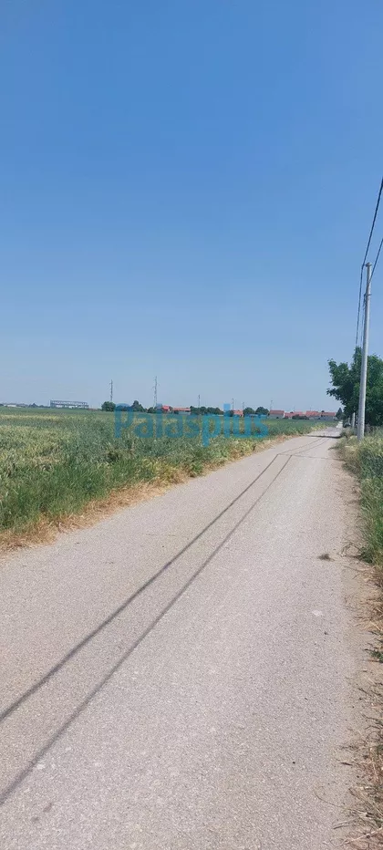 Milene Lakočević | 4zida.rs