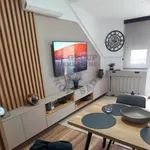 Novi Sad, Gradske lokacije, Rotkvarija, Socijalno | 4zida.rs | 4zida.rs