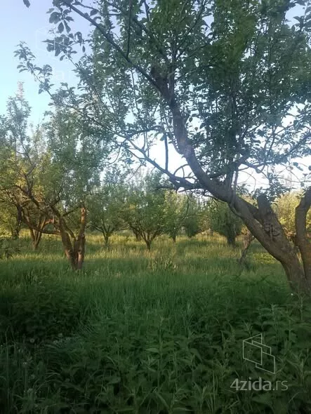 Poljoprivredno zemljište | 4zida