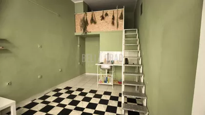 Visokog Stevana | 4zida.rs