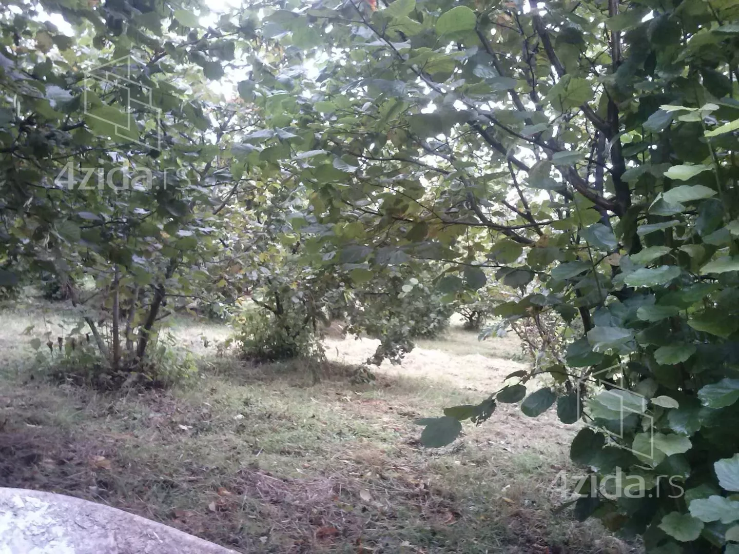 Poljoprivredno zemljište | 4zida