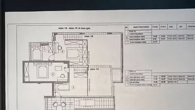 Ante Bogićevića