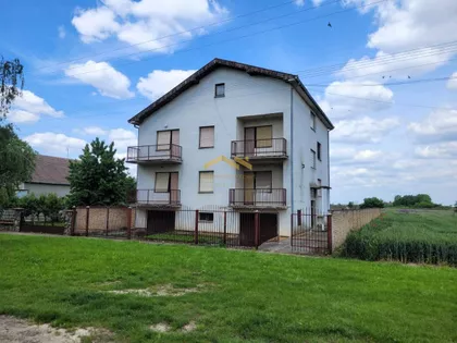 Čenej | 4zida.rs