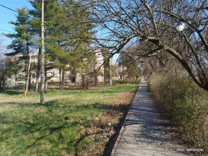 Jabučki rit | 4zida.rs