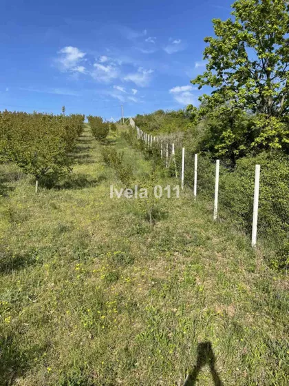 Vilina Strana | 4zida.rs