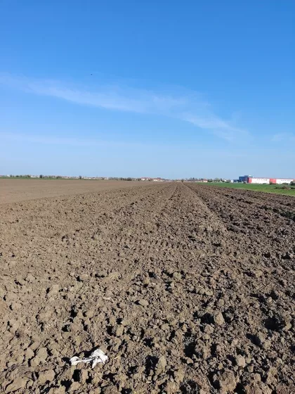 Krnješevci | 4zida.rs