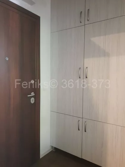 Zvezdarska Šuma | 4zida.rs