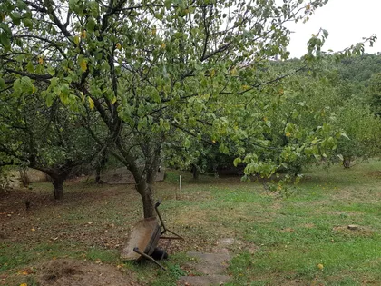 Barajevo (mesto) | 4zida.rs