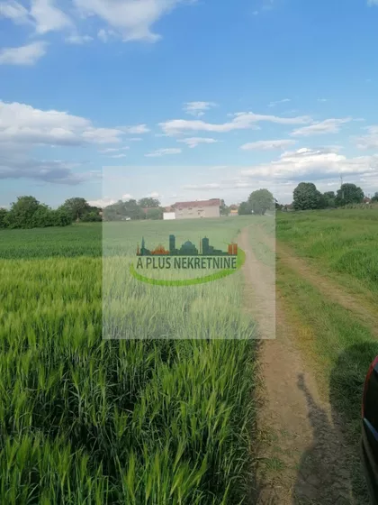 Novosadska | 4zida.rs