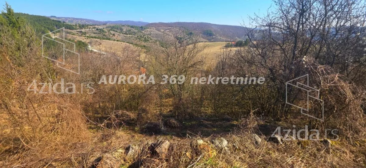 Plac | 4zida