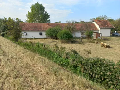 Dragoljuba Petrovića-Timošenka | 4zida.rs