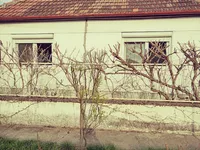 Bagljaš, Gradske lokacije, Zrenjanin | 4zida.rs