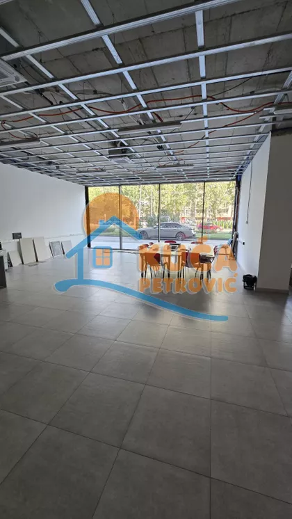 Blagoja Parovića | 4zida.rs