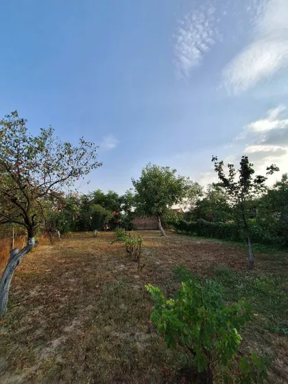 Žarko Zrenjanin | 4zida.rs