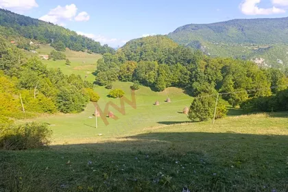 Planina Tara | 4zida.rs
