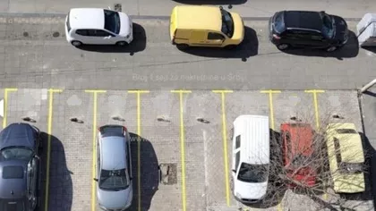 Vojvode Stepe | 4zida.rs