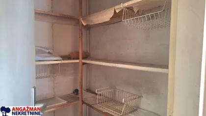 Bulevar Despota Stefana | 4zida.rs