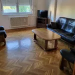 Nova Detelinara, Detelinara, Gradske lokacije, Novi Sad | 4zida.rs | 4zida.rs