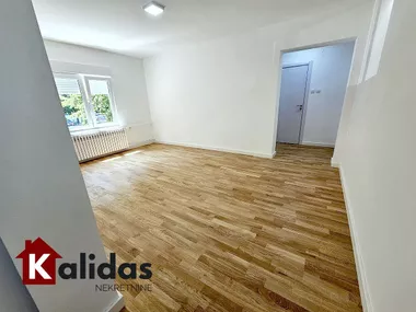 Satelit