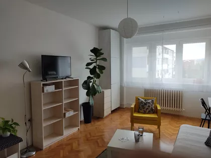 Berislava Berića | 4zida.rs
