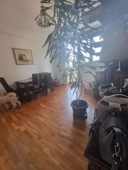 Milesevska | 4zida.rs