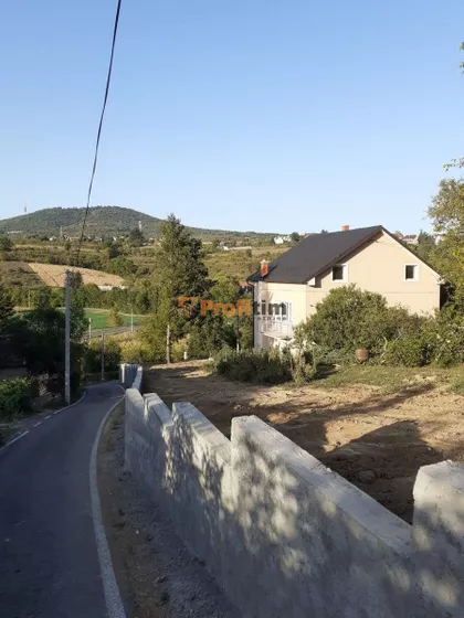 Veliki vis | 4zida.rs