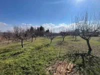 Zanoš, Petrovaradin, Gradske lokacije, Novi Sad | 4zida.rs