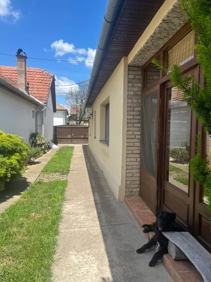 Đorđa Natoševića | 4zida.rs