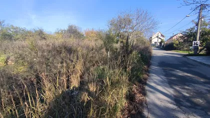 Rade Kondića | 4zida.rs