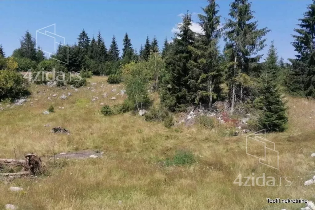 Plac | 4zida