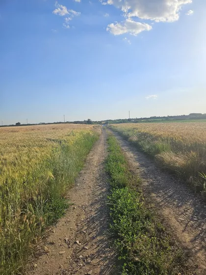 Batajnički Put | 4zida.rs