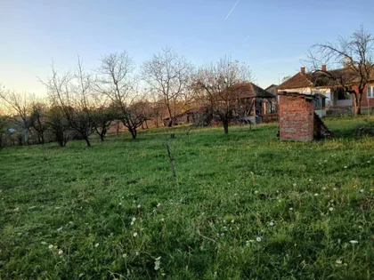 Veliki Borak | 4zida.rs