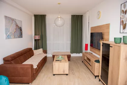 Lajoša Joa 48 | 4zida.rs