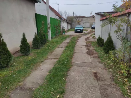 Bajnat | 4zida.rs
