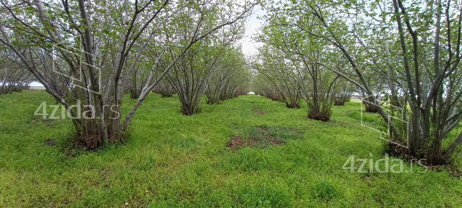 Poljoprivredno zemljište | 4zida