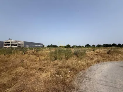 Sonje Marinković | 4zida.rs