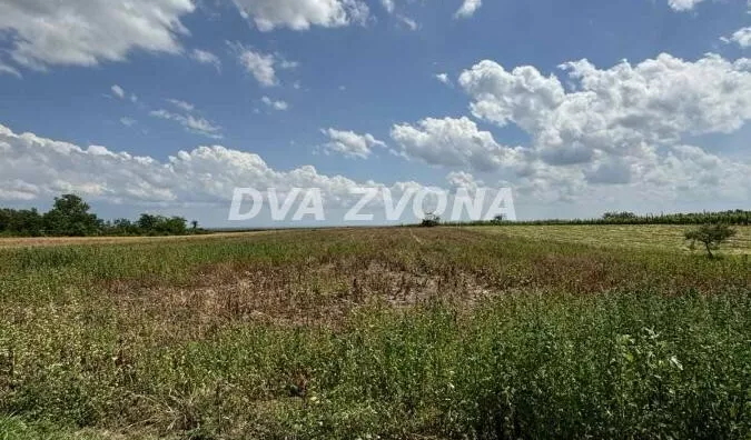Plac | 4zida