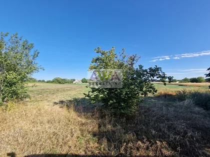 Bački Brestovac | 4zida.rs