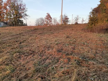 Kragujevacki put | 4zida.rs