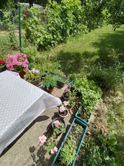 Čardak | 4zida.rs