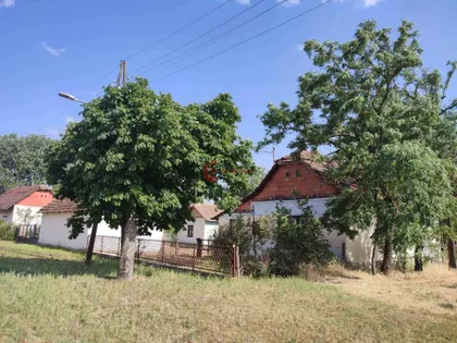 Bački Vinogradi | 4zida.rs