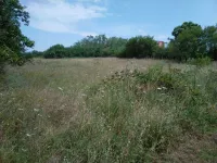 Plac | 4zida