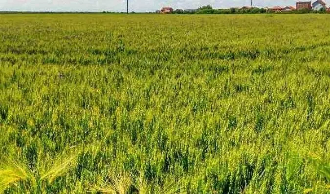 Poljoprivredno zemljište | 4zida