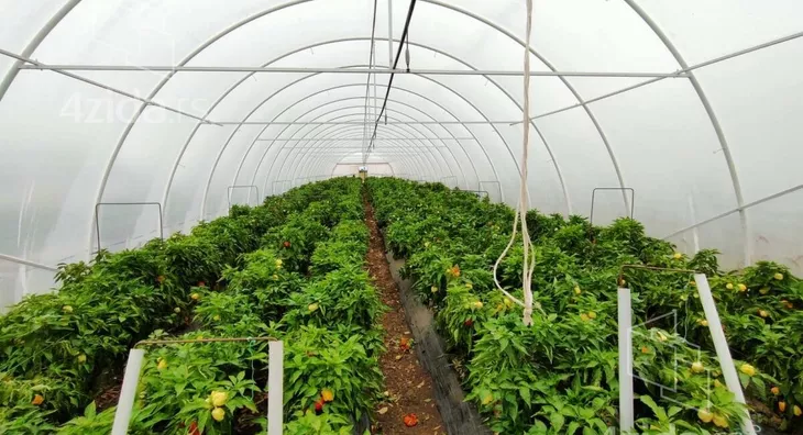 Poljoprivredno zemljište | 4zida