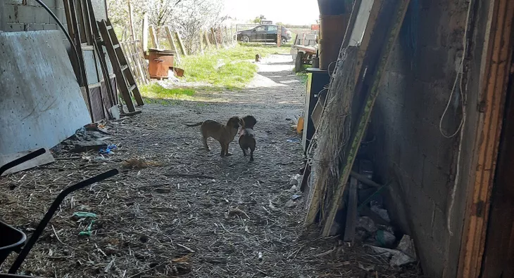 Poljoprivredno zemljište | 4zida